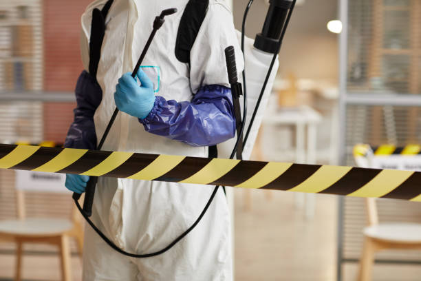 Professional Blood Cleanup technician working in Bailey, MI